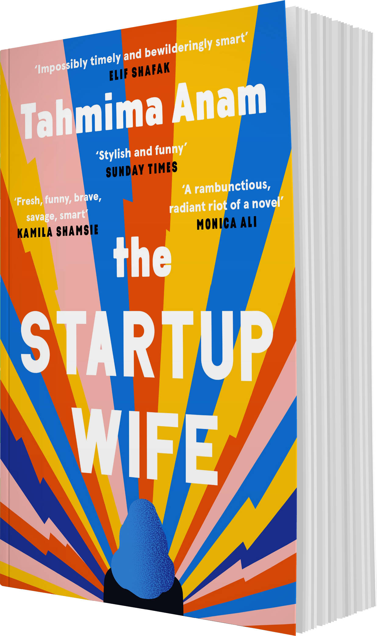 Paperback image of The Startup Wife